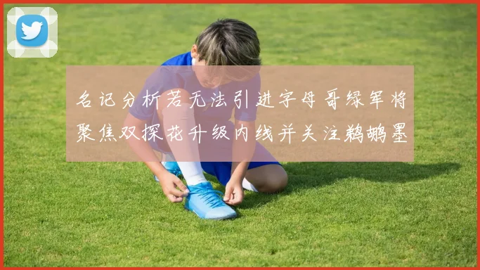 名记分析若无法引进字母哥绿军将聚焦双探花升级内线并关注鹈鹕墨菲